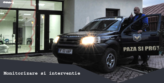 Alfa masina interviu